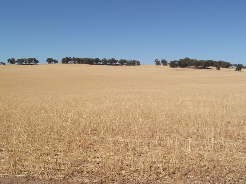 Lot 8975 Julimar Road, Toodyay WA 6566