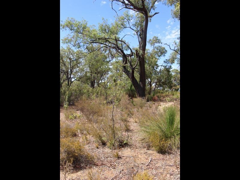 140 Ridley Circle, Toodyay WA 6566