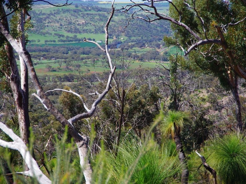 156 Drummondi Drive, Toodyay WA 6566