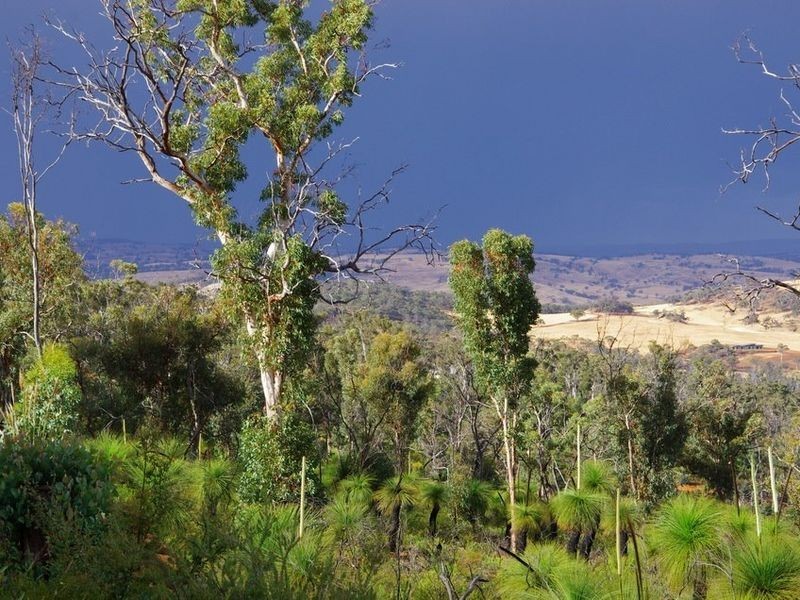 156 Drummondi Drive, Toodyay WA 6566