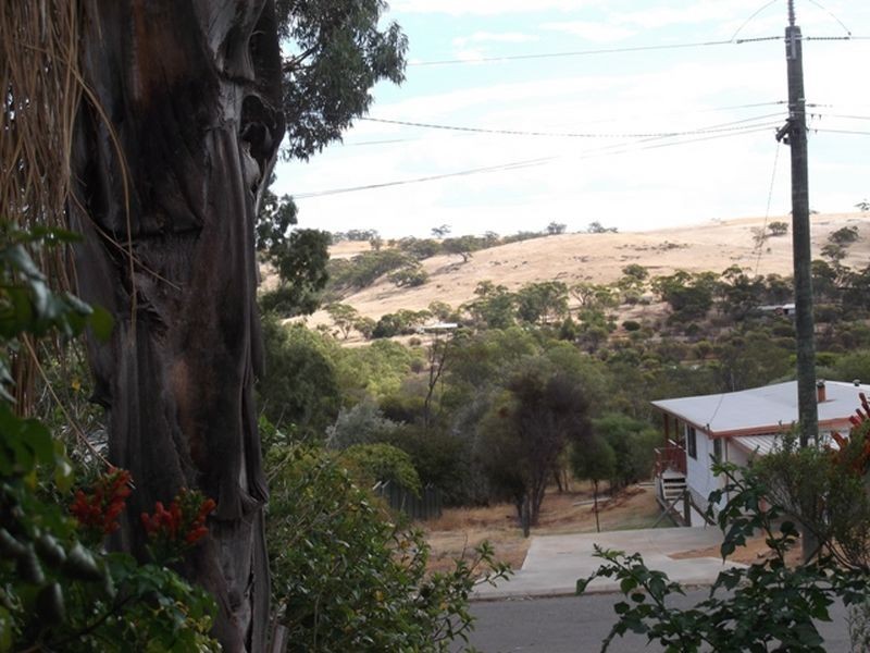 16 Harcourt St, Toodyay WA 6566