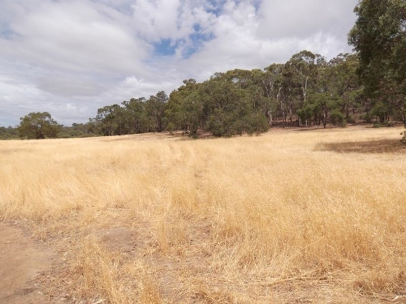 Lot 508 Salt Valley Road, Toodyay WA 6566