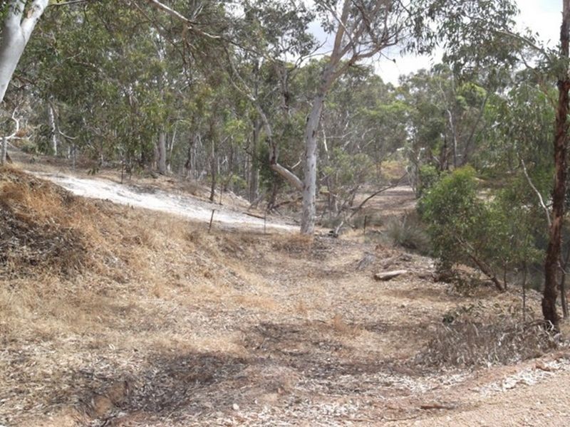 Lot 508 Salt Valley Road, Toodyay WA 6566