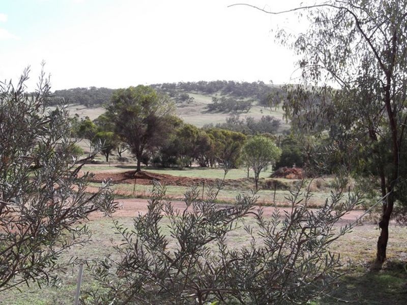 140 Church Gully Rd, Toodyay WA 6566