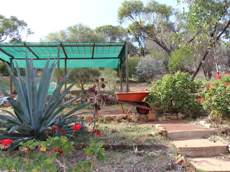 7 Connor St, Toodyay WA 6566