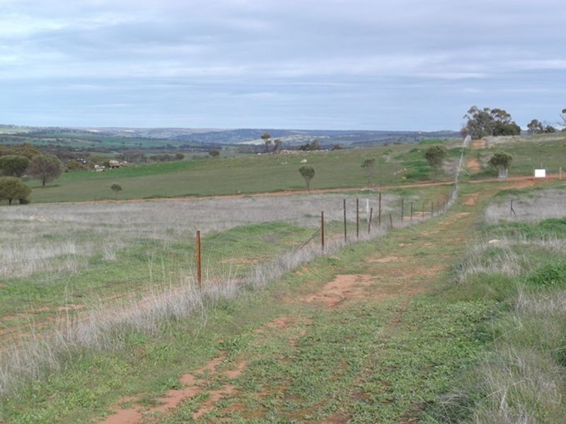 83 Seventh Road Bejoording, Toodyay WA 6566