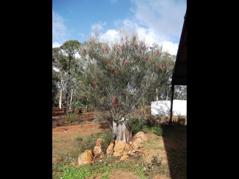 10 Jarrah Court, Toodyay WA 6566