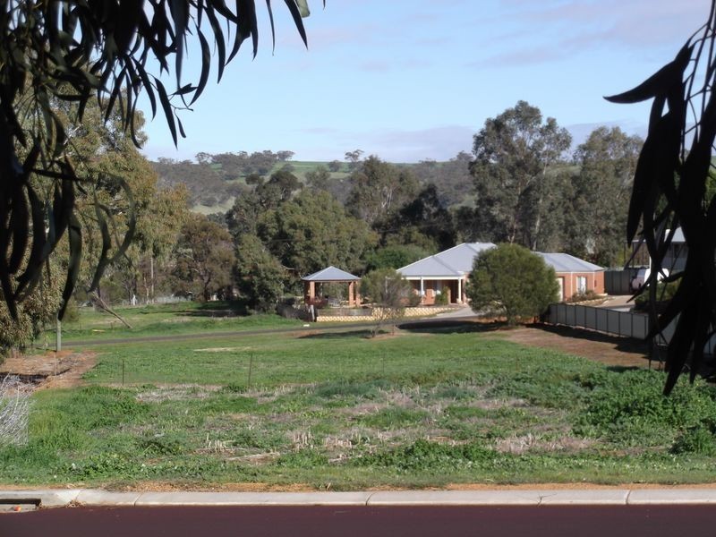 43 Telegraph Road, Toodyay WA 6566