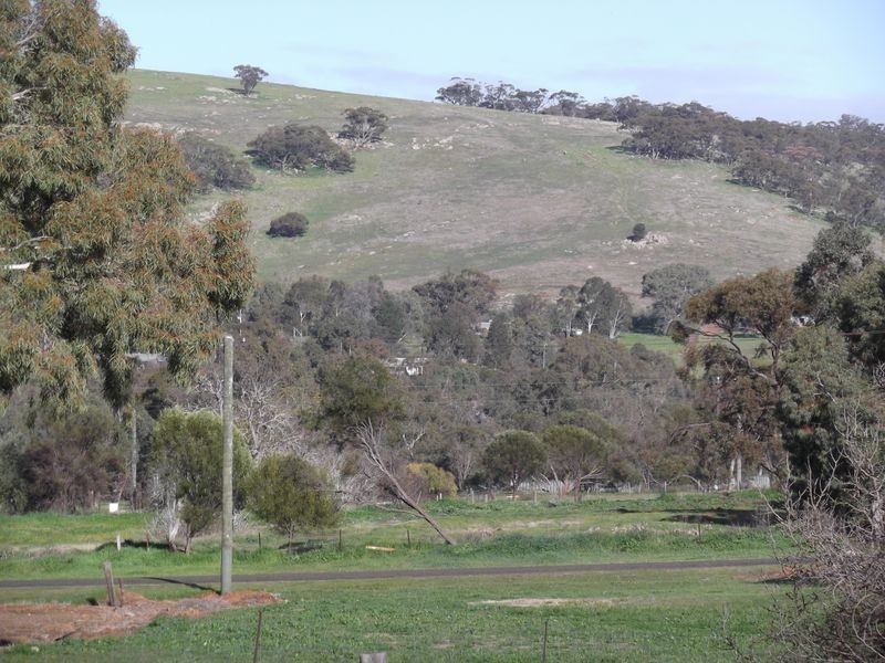 43 Telegraph Road, Toodyay WA 6566
