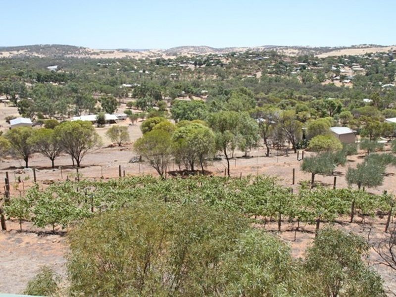 12 Lukin St, Toodyay WA 6566
