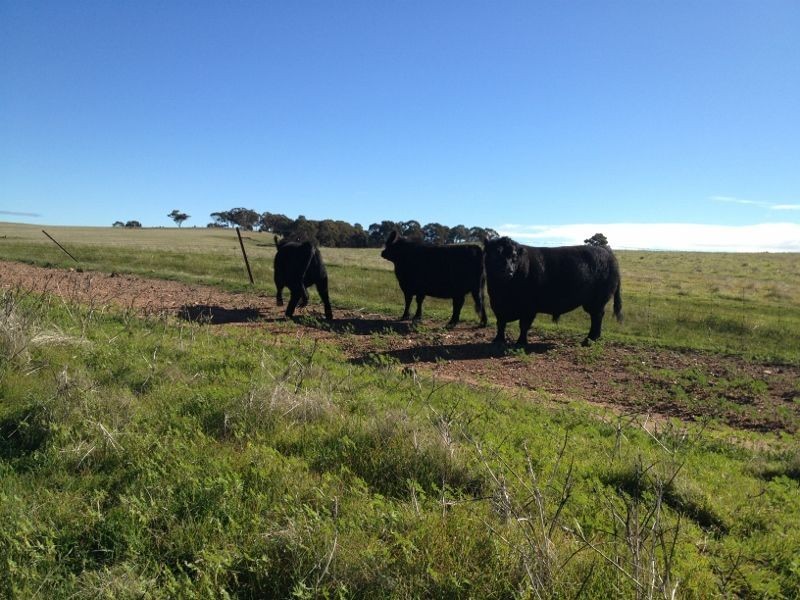 Lot 76 Julimar Rd, Toodyay WA 6566