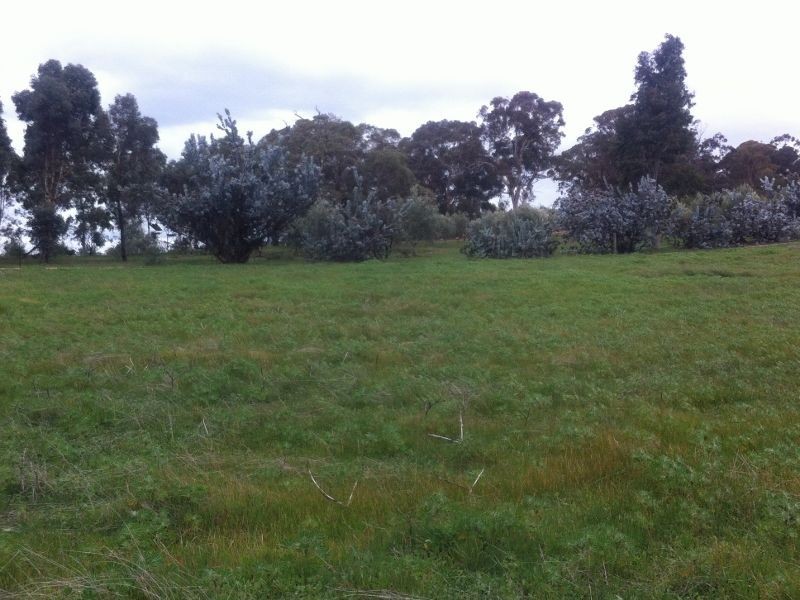 Lot 76 Julimar Rd, Toodyay WA 6566