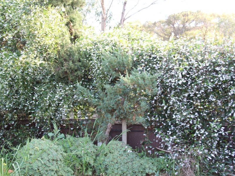 2 Whitechapel St, Toodyay WA 6566