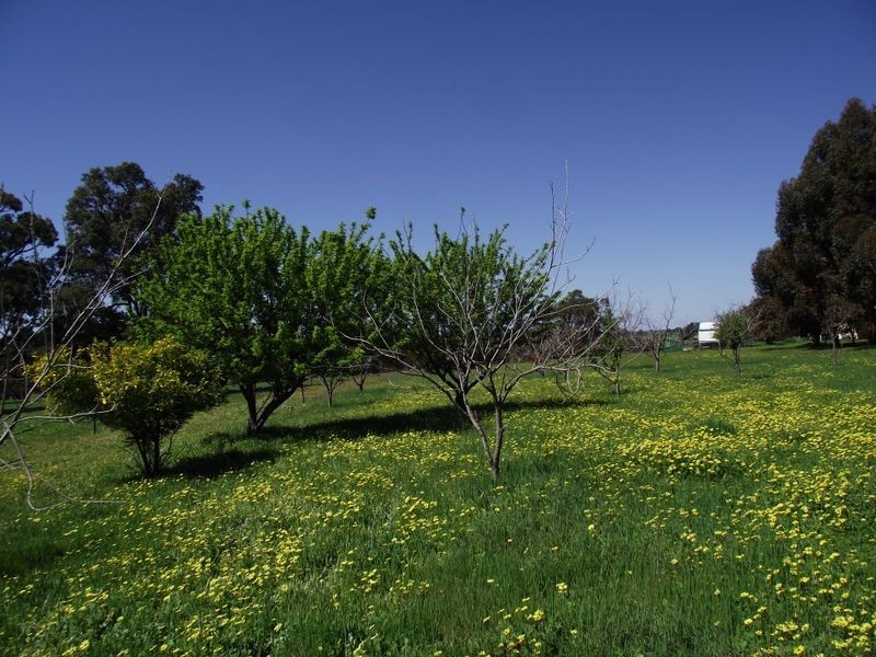 570 Burma Road, Bailup WA 6082
