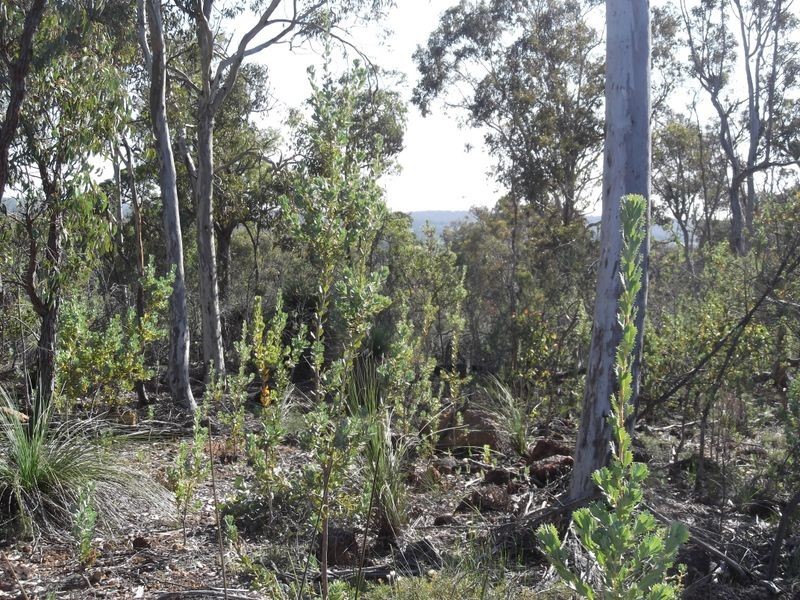 69 Powder Bark Road, Toodyay WA 6566
