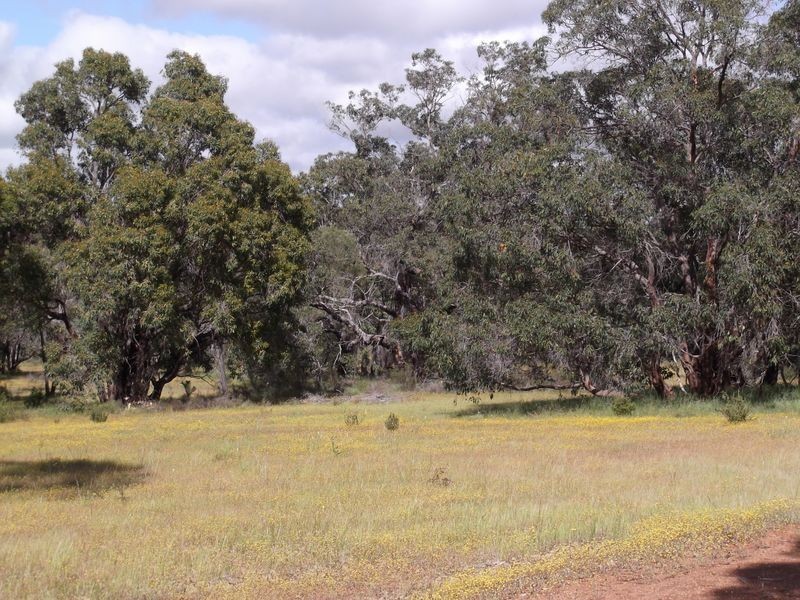 1076 Julimar Road, Toodyay WA 6566