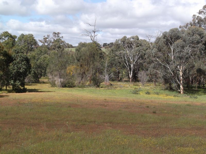 1076 Julimar Road, Toodyay WA 6566