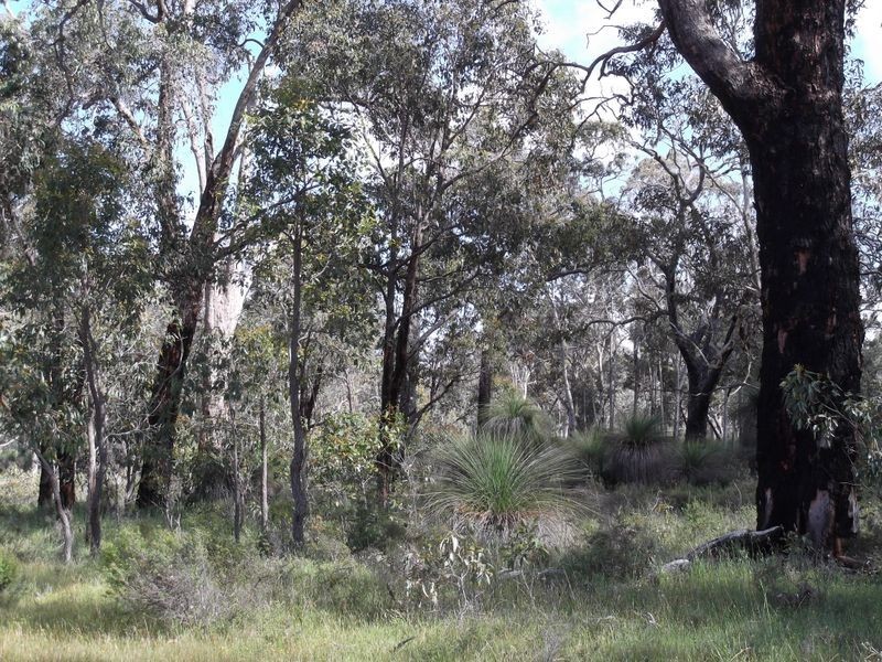 1076 Julimar Road, Toodyay WA 6566