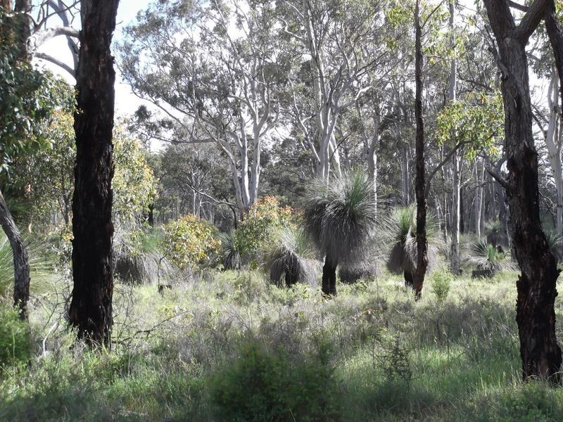 1076 Julimar Road, Toodyay WA 6566