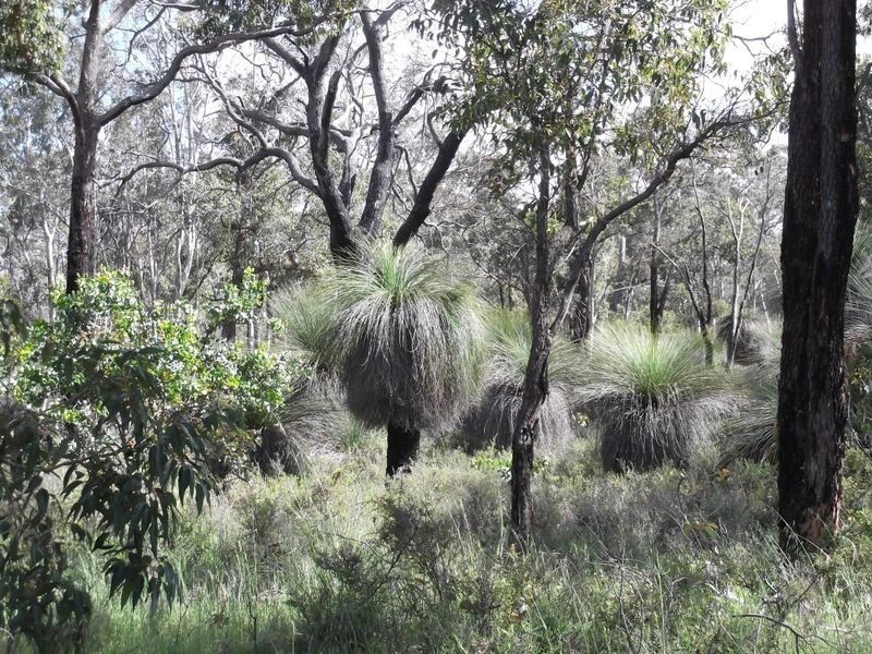 1076 Julimar Road, Toodyay WA 6566