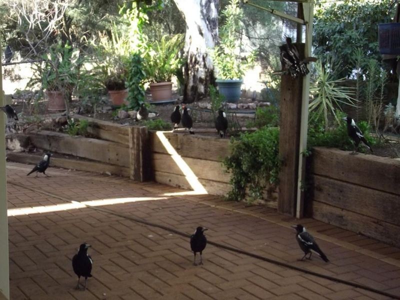 32 Davies Road, Toodyay WA 6566