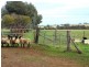 349 Nunile Road, Toodyay WA 6566