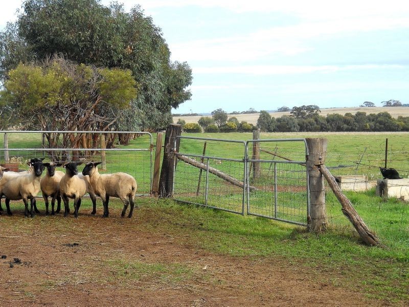 349 Nunile Road, Toodyay WA 6566