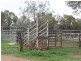 349 Nunile Road, Toodyay WA 6566