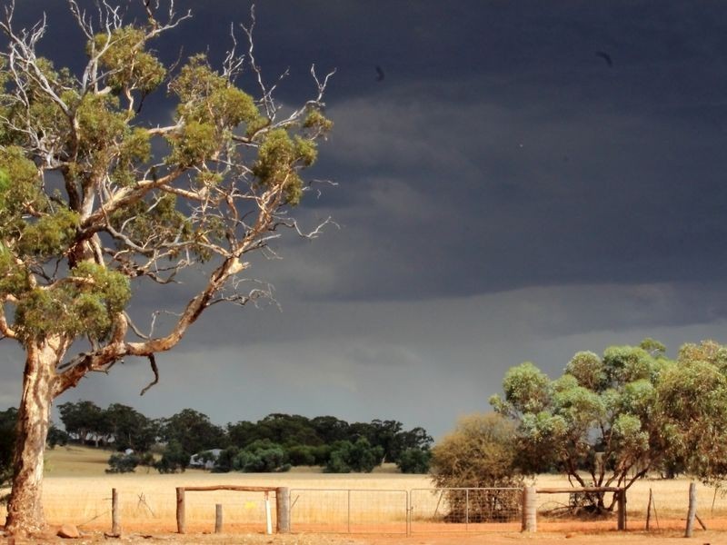 349 Nunile Road, Toodyay WA 6566