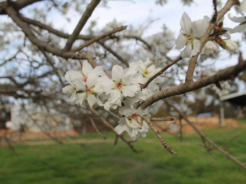 349 Nunile Road, Toodyay WA 6566