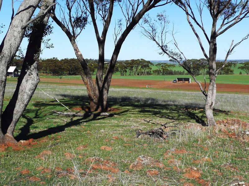 Lot 59 One Man Road, Toodyay WA 6566