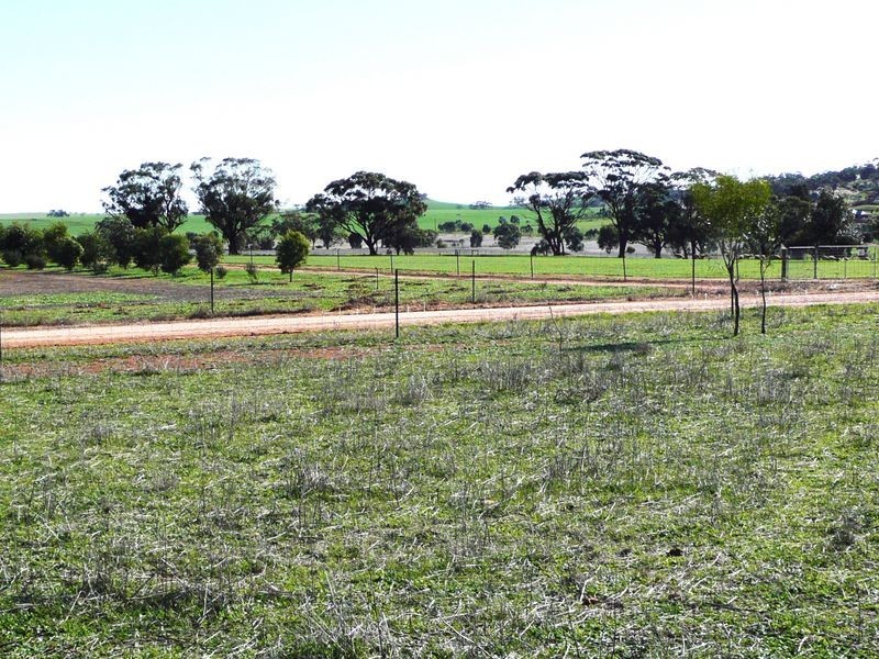 Lot 59 One Man Road, Toodyay WA 6566