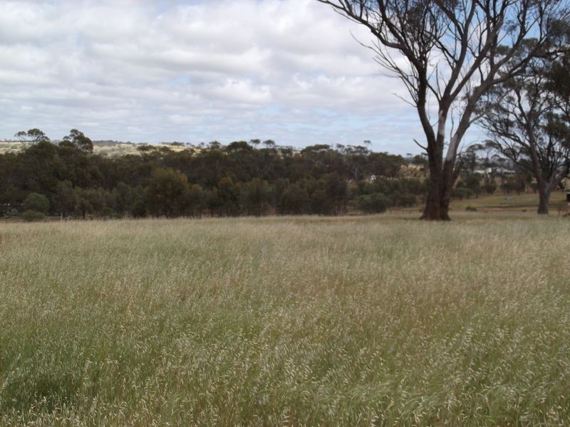 Lot 59 One Man Road, Toodyay WA 6566