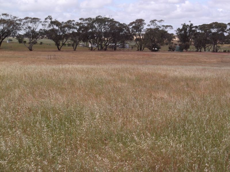 Lot 59 One Man Road, Toodyay WA 6566