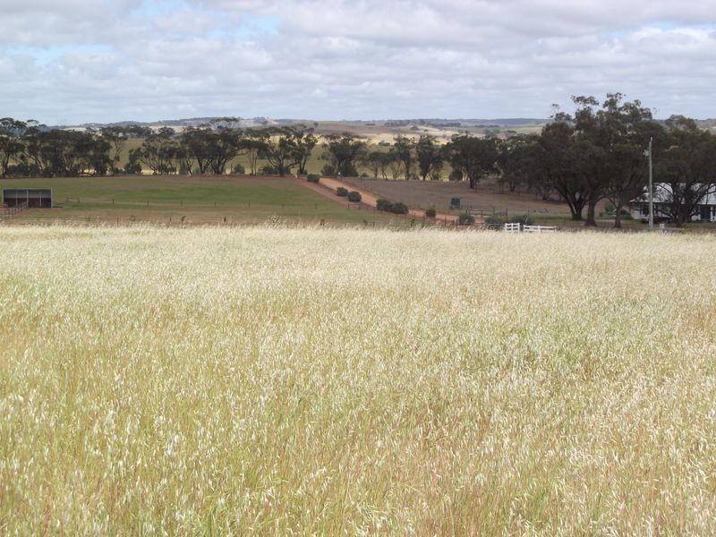 Lot 59 One Man Road, Toodyay WA 6566