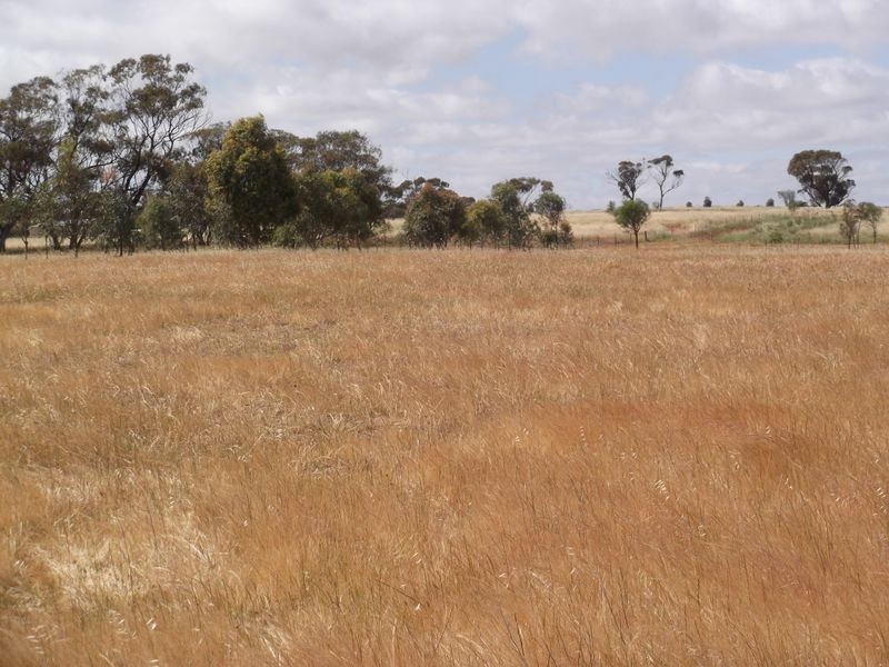 Lot 59 One Man Road, Toodyay WA 6566