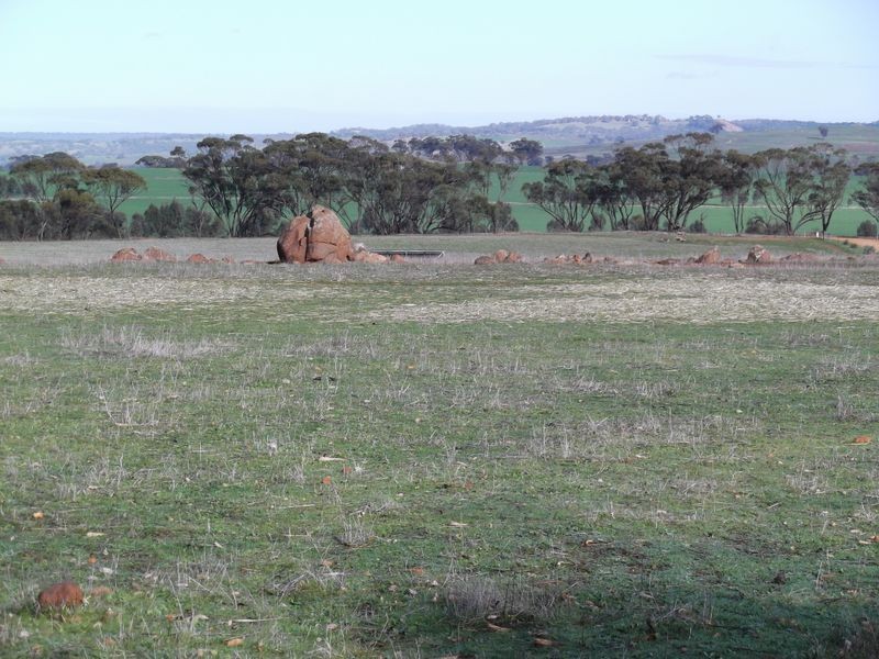 Lot 59 One Man Road, Toodyay WA 6566