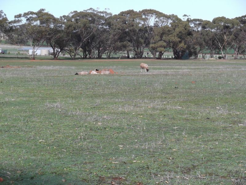 Lot 59 One Man Road, Toodyay WA 6566