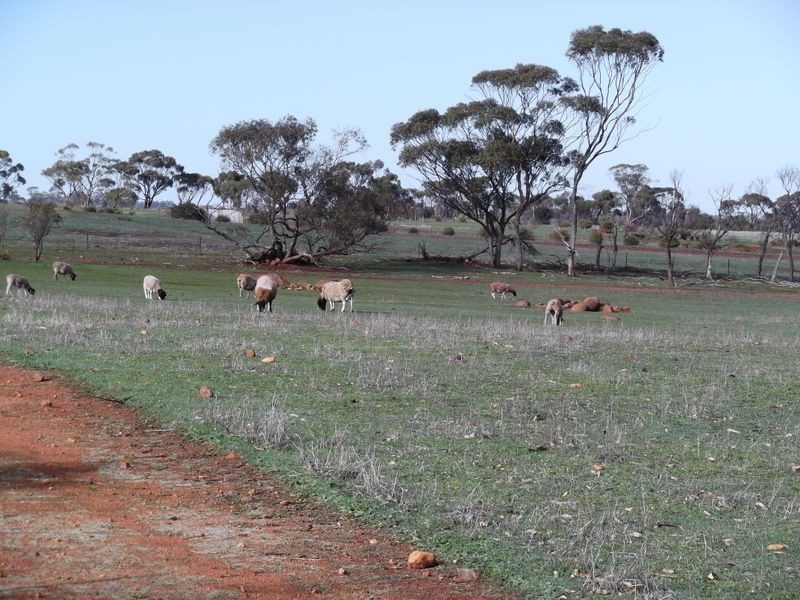 Lot 59 One Man Road, Toodyay WA 6566