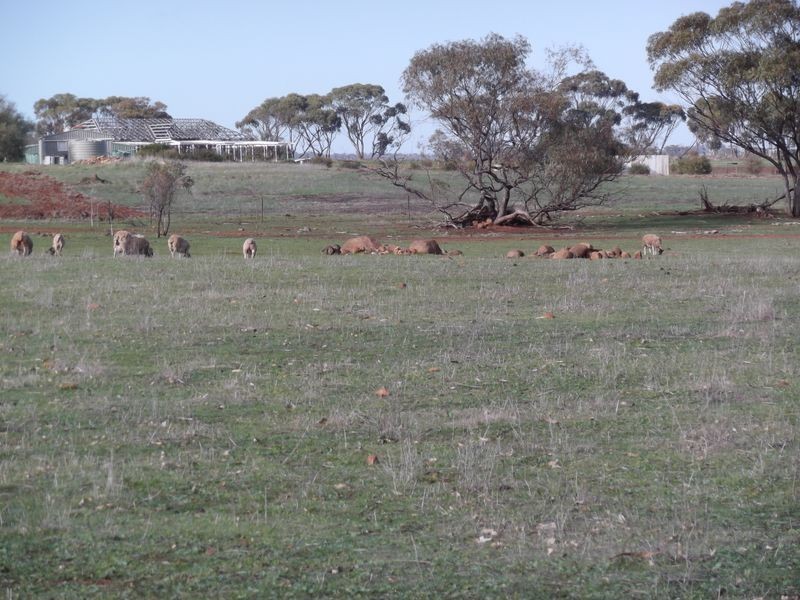 Lot 59 One Man Road, Toodyay WA 6566