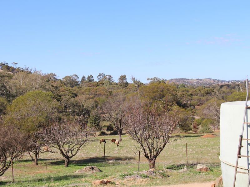 68 Fitzgerald Terrace, Toodyay WA 6566