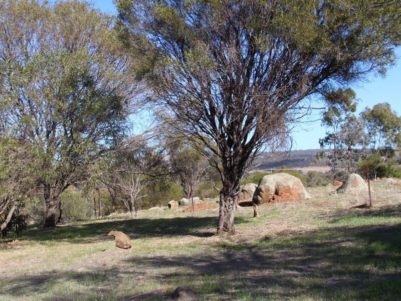 68 Fitzgerald Terrace, Toodyay WA 6566