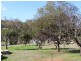68 Fitzgerald Terrace, Toodyay WA 6566