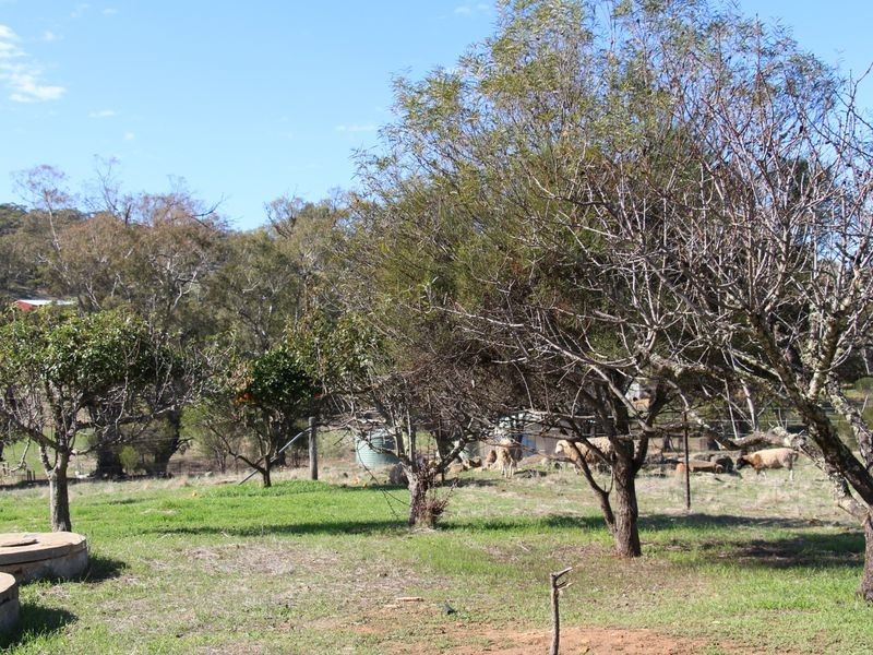 68 Fitzgerald Terrace, Toodyay WA 6566