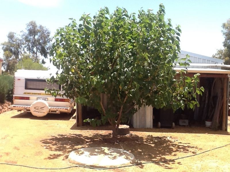 39 Blackstone Retreat, Toodyay WA 6566