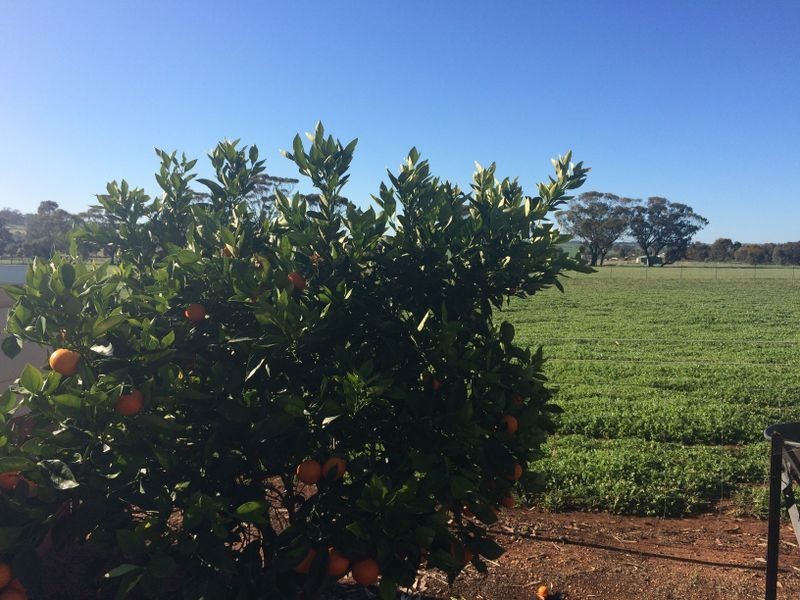 39 Blackstone Retreat, Toodyay WA 6566