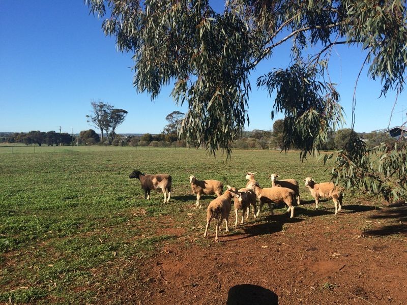 39 Blackstone Retreat, Toodyay WA 6566