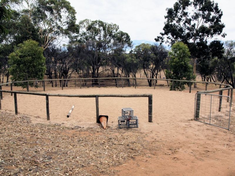 5770 (Lot Toodyay Road, Toodyay WA 6566