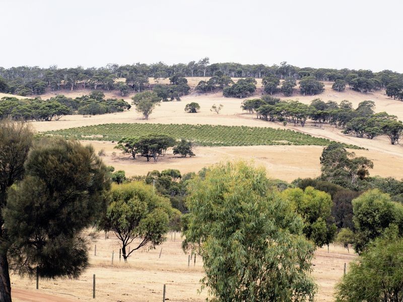 5770 (Lot Toodyay Road, Toodyay WA 6566