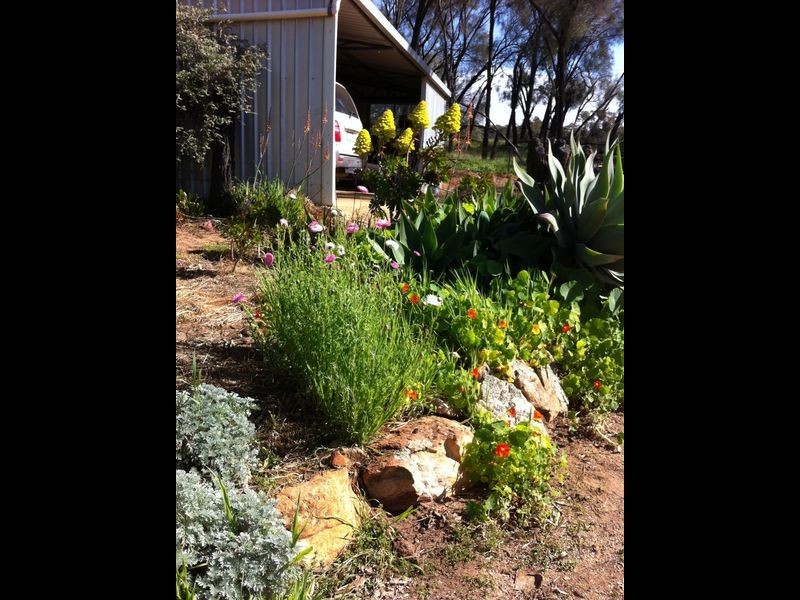 5770 (Lot Toodyay Road, Toodyay WA 6566